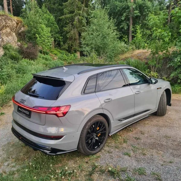 Diffuser Audi e-Tron S-Line