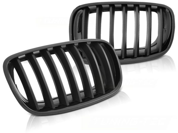 Grill Bmw X5 E70 X6 E71 08- blank matt Black